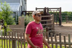 Friends University Partnership with Sedgwick County Zoo - Elephant Exhibit